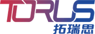 TORUS Logo